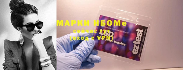 мдпв Горнозаводск