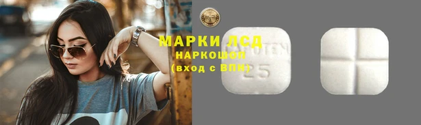 мдпв Горнозаводск